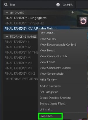 ffxiv unable to complete version check