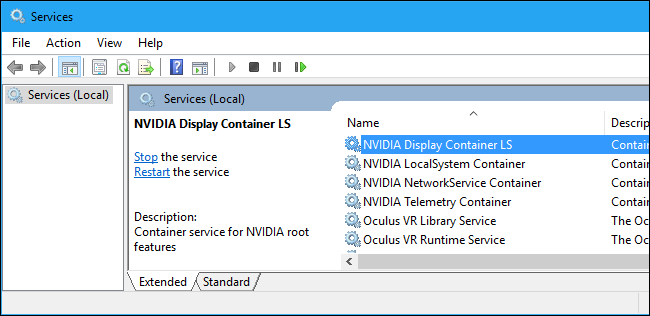NVIDIA Display Container LS service