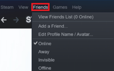 How to appear offline on steam